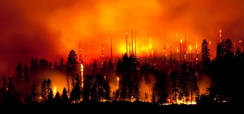 Orman Yangınlarını Sıvılaştırılmış Azot Söndürür mü?