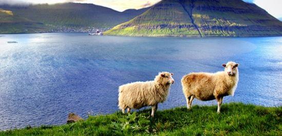Faroe adalarının özellikleri