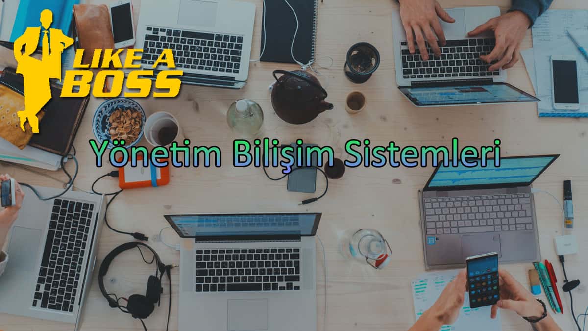 yönetim bilişim sistemleri