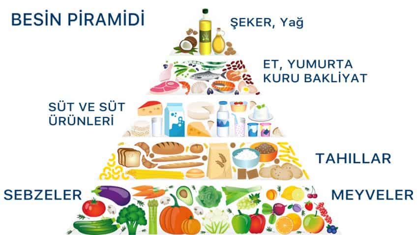 kalp sağlığı için besin piramidi)